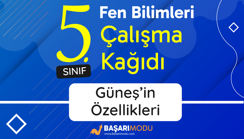 5. Sınıf - Güneş'in Özellikleri Çalışma Kağıdı - Web Görsel