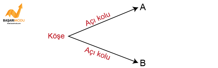 5. sınıf matematik açı geometrik şekiller