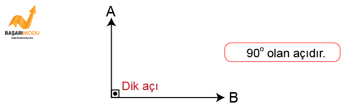 5. sınıf matematik dik açı geometrik şekiller